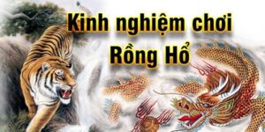 Bài rồng hổ là gì? Luật chơi và cách chơi 2024